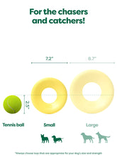 Load image into Gallery viewer, Earth Rated Flyer