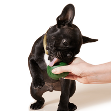 Load image into Gallery viewer, Pupsicle Treat Tray