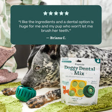 Load image into Gallery viewer, Pupsicle Doggy Dental Mix