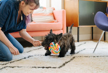 Load image into Gallery viewer, Snack Attack Mini