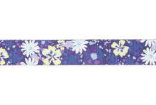 Load image into Gallery viewer, Front Range Collar