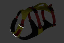 Load image into Gallery viewer, Flagline Dog Harness