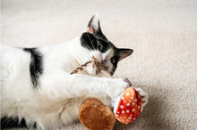 Load image into Gallery viewer, Fog City Pet x Mystic Mushroom & Meowshroom