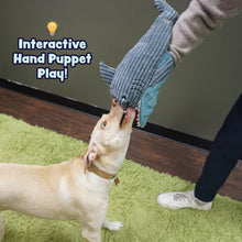 Load image into Gallery viewer, HuggleSnuffle Chomp & Chase