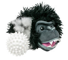 Load image into Gallery viewer, 2 in 1 Grizzly Bear Head