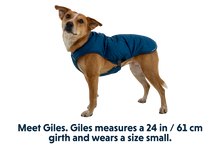 Load image into Gallery viewer, Quinzee Insulated Jacket