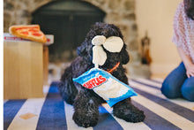 Load image into Gallery viewer, Snack Attack Mini