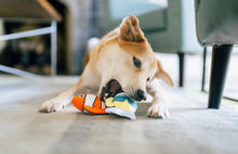 Load image into Gallery viewer, Ocean Buddies