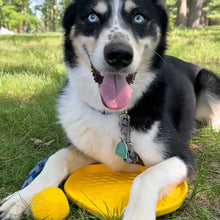 Load image into Gallery viewer, Hive Disc & Lick Mat