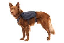 Load image into Gallery viewer, Front Range Dog Day Pack