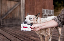 Load image into Gallery viewer, Howling Haunts