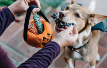 Load image into Gallery viewer, Howl-O-Ween Treat Basket