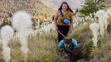 Load image into Gallery viewer, Home Trail Hip Pack