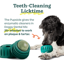 Load image into Gallery viewer, Pupsicle Doggy Dental Mix