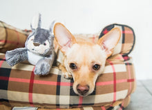 Load image into Gallery viewer, Jessica Bunny