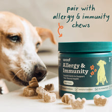 Load image into Gallery viewer, Pupsicle Refills for Allergy Support