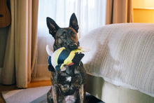 Load image into Gallery viewer, Ocean Buddies