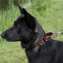 Load image into Gallery viewer, Lupine Martingale Collar 1in
