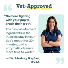 Load image into Gallery viewer, Pupsicle Doggy Dental Mix