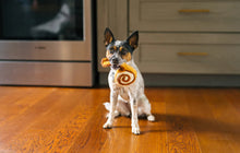 Load image into Gallery viewer, Pup Cup Cafe Mini