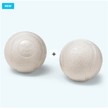 Load image into Gallery viewer, West Paw Boundr