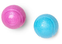 Load image into Gallery viewer, West Paw Boundr