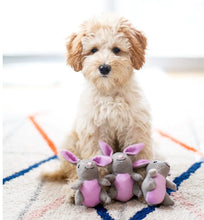 Load image into Gallery viewer, Bunny ‘n Carrot Burrow