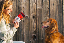 Load image into Gallery viewer, P.L.A.Y x Cabot Creamery Seriously Sharp Squeaker