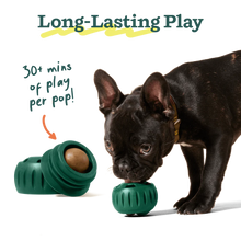 Load image into Gallery viewer, Pupsicle refill pops: PB & Chicken