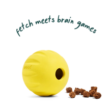 Load image into Gallery viewer, Flyball