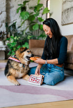 Load image into Gallery viewer, Fog City Pet x Play Lucky Treats