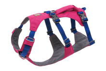 Load image into Gallery viewer, Flagline Dog Harness