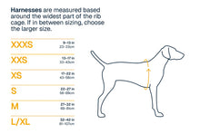 Load image into Gallery viewer, Front Range Flex Knit Harness