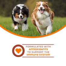 Load image into Gallery viewer, Fromm Nutritional Can Pate