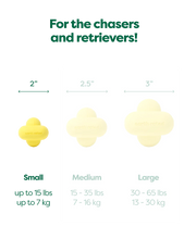 Load image into Gallery viewer, Earth Rated Fetch
