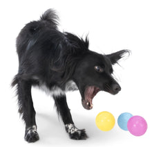 Load image into Gallery viewer, West Paw Boundr