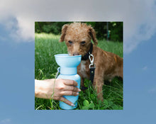Load image into Gallery viewer, Flip Dog Bottle