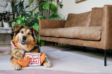 Load image into Gallery viewer, Fog City Pet x Play Lucky Treats
