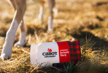 Load image into Gallery viewer, P.L.A.Y x Cabot Creamery Seriously Sharp Squeaker