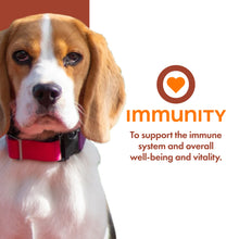 Load image into Gallery viewer, Fromm Nutritional Can Pate