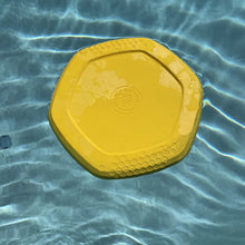 Load image into Gallery viewer, Hive Disc & Lick Mat