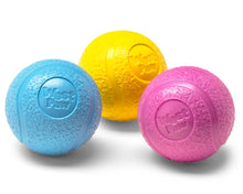 Load image into Gallery viewer, West Paw Boundr