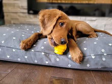 Load image into Gallery viewer, Hive Chew Toy