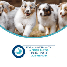 Load image into Gallery viewer, Fromm Nutritional Can Pate