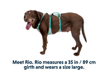 Load image into Gallery viewer, Flagline Dog Harness