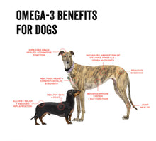 Load image into Gallery viewer, Clam Chowder Crunchy Bits