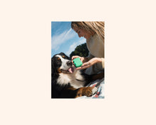 Load image into Gallery viewer, Silicone Treat Dispenser Case