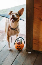 Load image into Gallery viewer, Howl-O-Ween Treat Basket