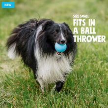 Load image into Gallery viewer, West Paw Boundr