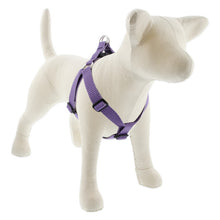 Load image into Gallery viewer, Lupine ECO 1” Step-In Harness